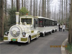 城市的另一道亮麗風(fēng)景線(xiàn)之無(wú)軌小火車(chē)