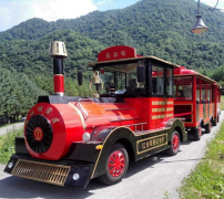 龍之盈游樂(lè )觀(guān)光小火車(chē)可以定制嗎？