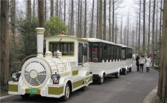 無(wú)軌小火車(chē)多少錢(qián)一輛？掙錢(qián)嗎？