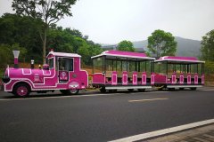 無(wú)軌小火車(chē)的注意事項及選擇