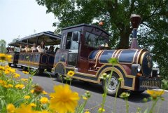 觀(guān)光小火車(chē)的輪胎常規保養方法