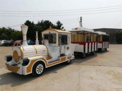 觀(guān)光小火車(chē)選擇什么電池？