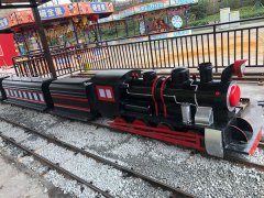 觀(guān)光小火車(chē)可以定制嗎
